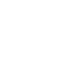 pictofooter