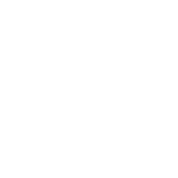 pictofooter